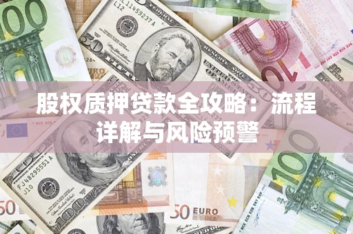 武汉股权质押贷款全攻略：流程详解与风险预警
