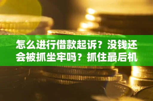 武汉怎么进行借款起诉？没钱还会被抓坐牢吗？抓住最后机会！