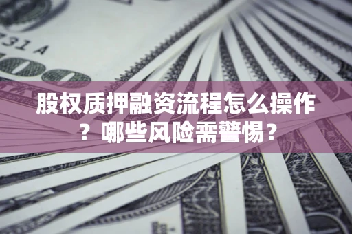 武汉股权质押融资流程怎么操作？哪些风险需警惕？