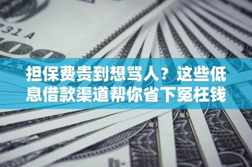 武汉担保费贵到想骂人？这些低息借款渠道帮你省下冤枉钱