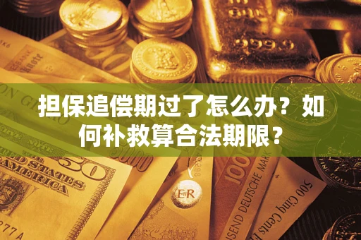 武汉担保追偿期过了怎么办？如何补救算合法期限？