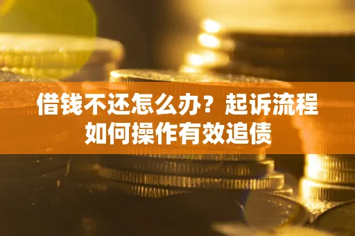 武汉借钱不还怎么办？起诉流程如何操作有效追债