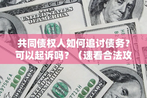 武汉共同债权人如何追讨债务？可以起诉吗？（速看合法攻略）