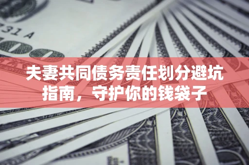 武汉夫妻共同债务责任划分避坑指南，守护你的钱袋子