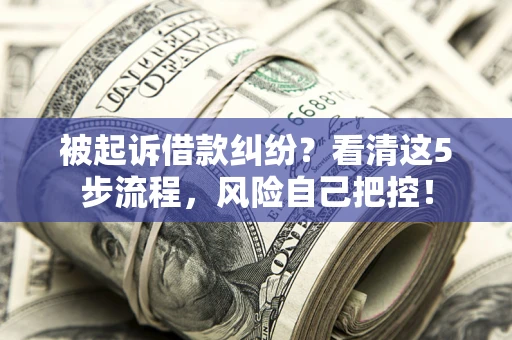 武汉被起诉借款纠纷？看清这5步流程，风险自己把控！