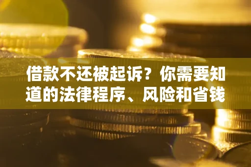 武汉借款不还被起诉？你需要知道的法律程序、风险和省钱技巧